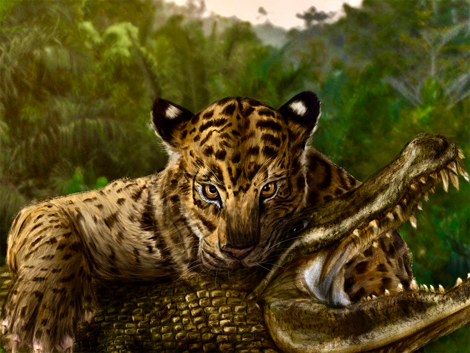 Predator's Predator